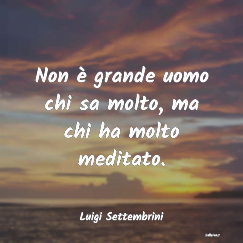 Frasi sulla Meditazione - Non è grande uomo chi sa molto, ma chi ha molto m...