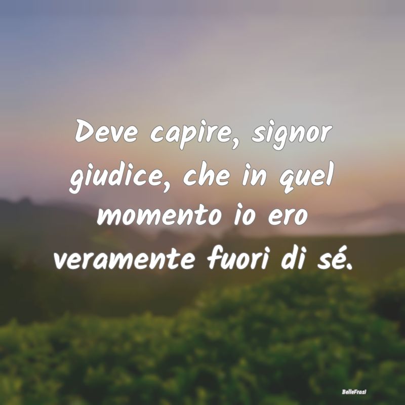 Frasi sulla Rabbia - Deve capire, signor giudice, che in quel momento i...