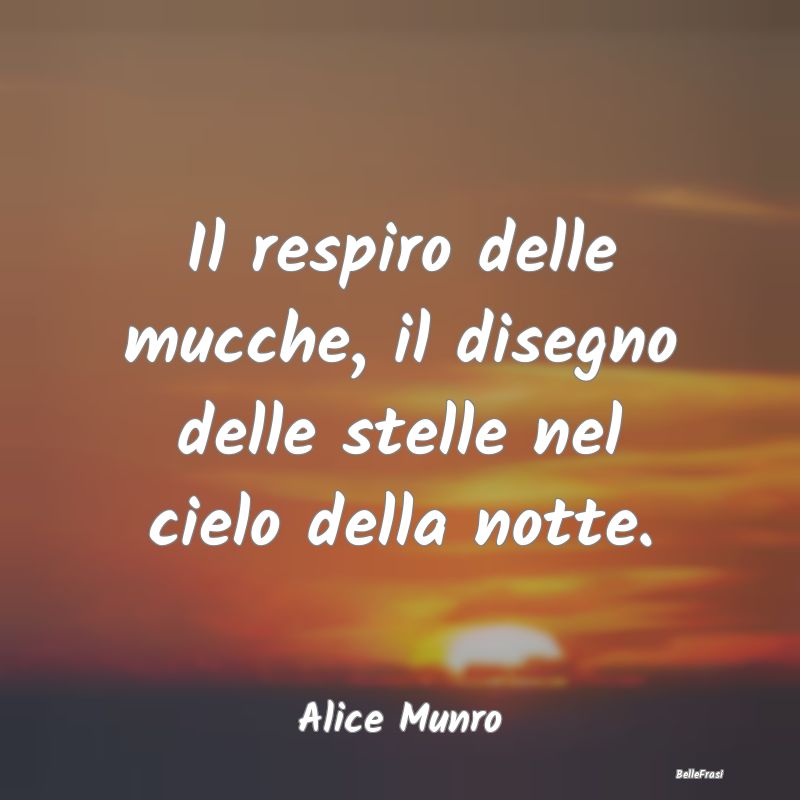 Frasi sulla Contemplazione - Il respiro delle mucche, il disegno delle stelle n...