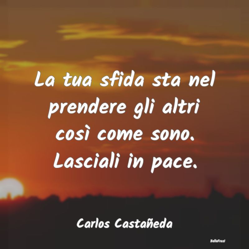 Frasi sull'Adattamento - La tua sfida sta nel prendere gli altri così come...