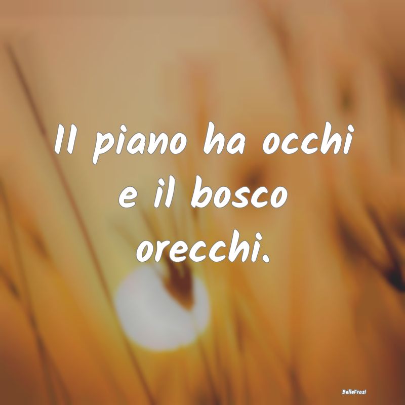 Frasi Prudenza - II piano ha occhi e il bosco orecchi....