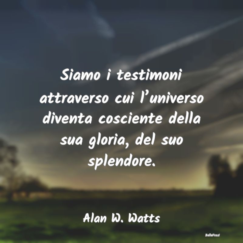 Frasi sulla Gloria - Siamo i testimoni attraverso cui l’universo dive...