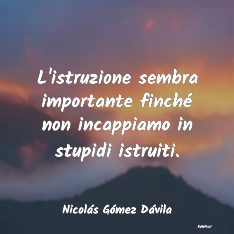 Frasi sulla Stupidità - L'istruzione sembra importante finché non incappi...