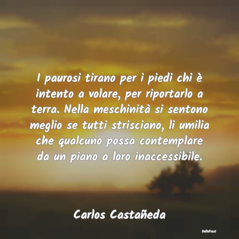 Frasi sul Coraggio - I paurosi tirano per i piedi chi è intento a vola...