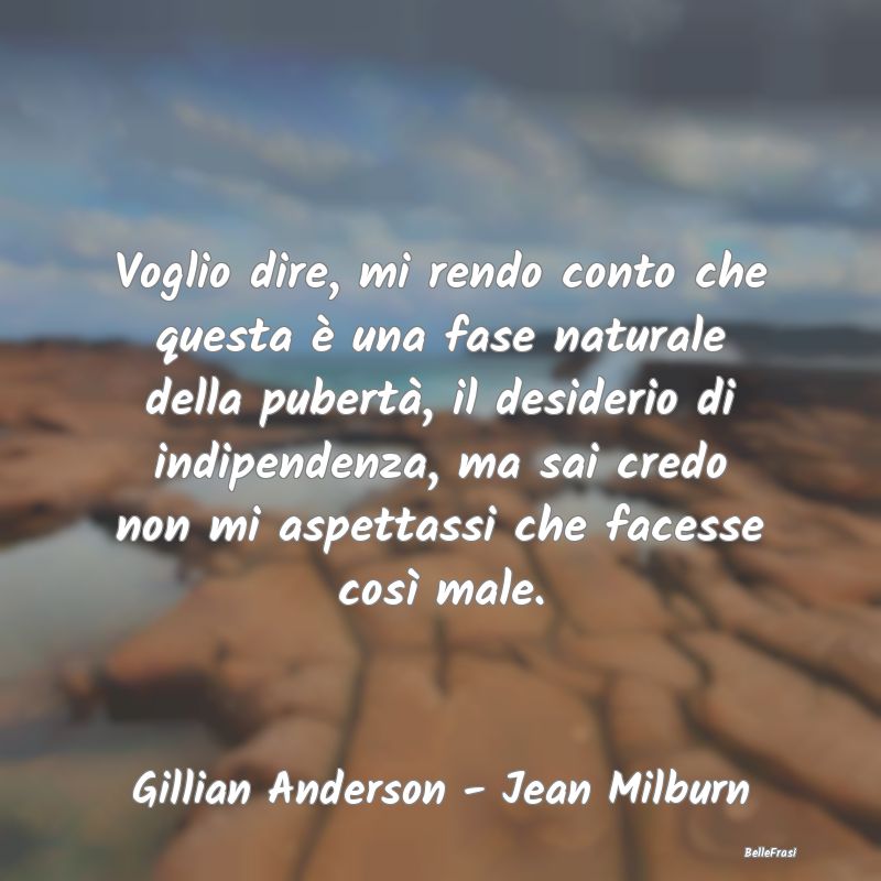 Frasi sugli Adolescenti - Voglio dire, mi rendo conto che questa è una fase...