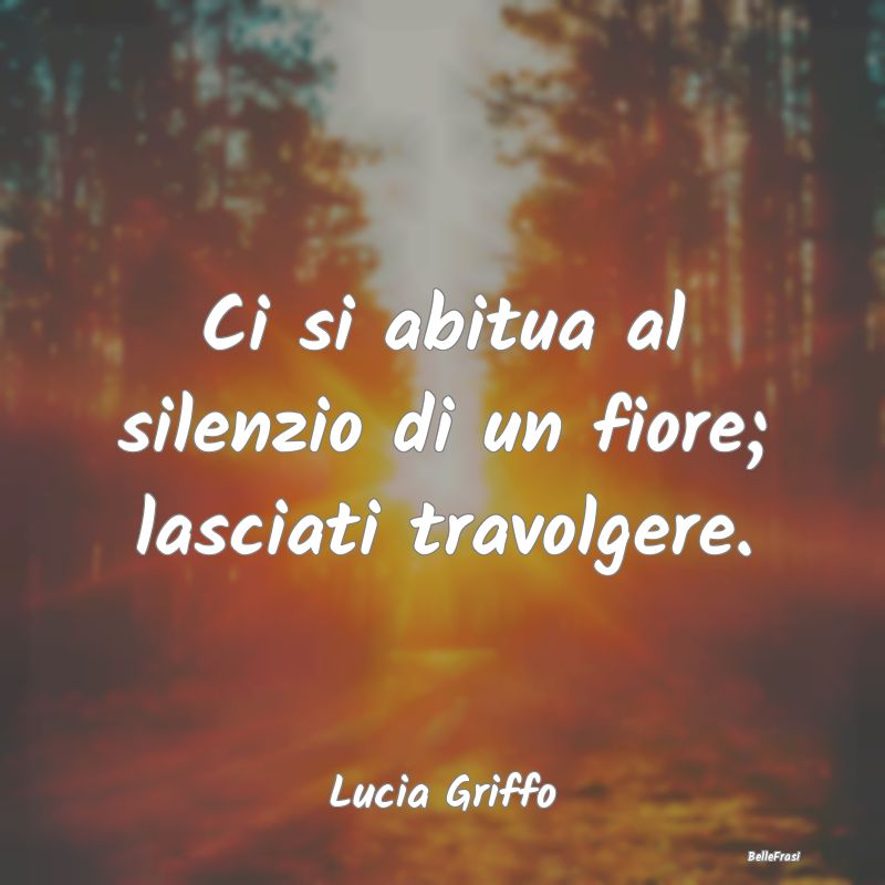 Ci si abitua al silenzio di un fiore; lasciati tra...