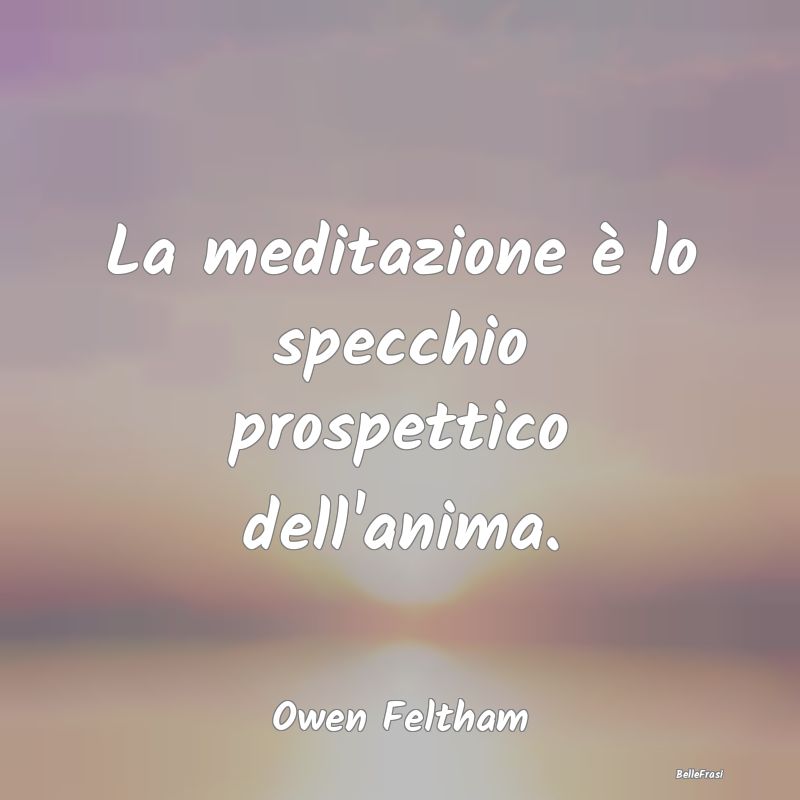 Frasi sulla Meditazione - La meditazione è lo specchio prospettico dell'ani...