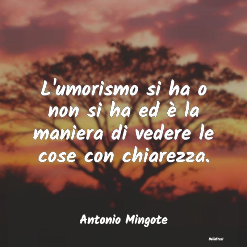 Frasi sull'Umorismo - L'umorismo si ha o non si ha ed è la maniera di v...