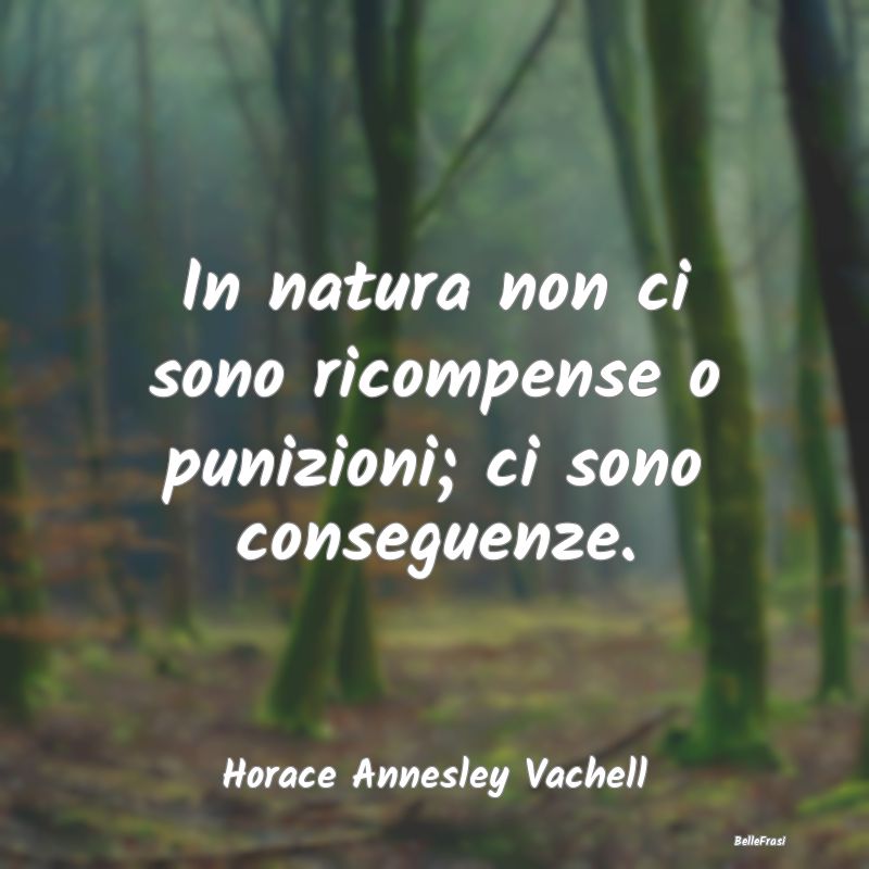 In natura non ci sono ricompense o punizioni; ci s...