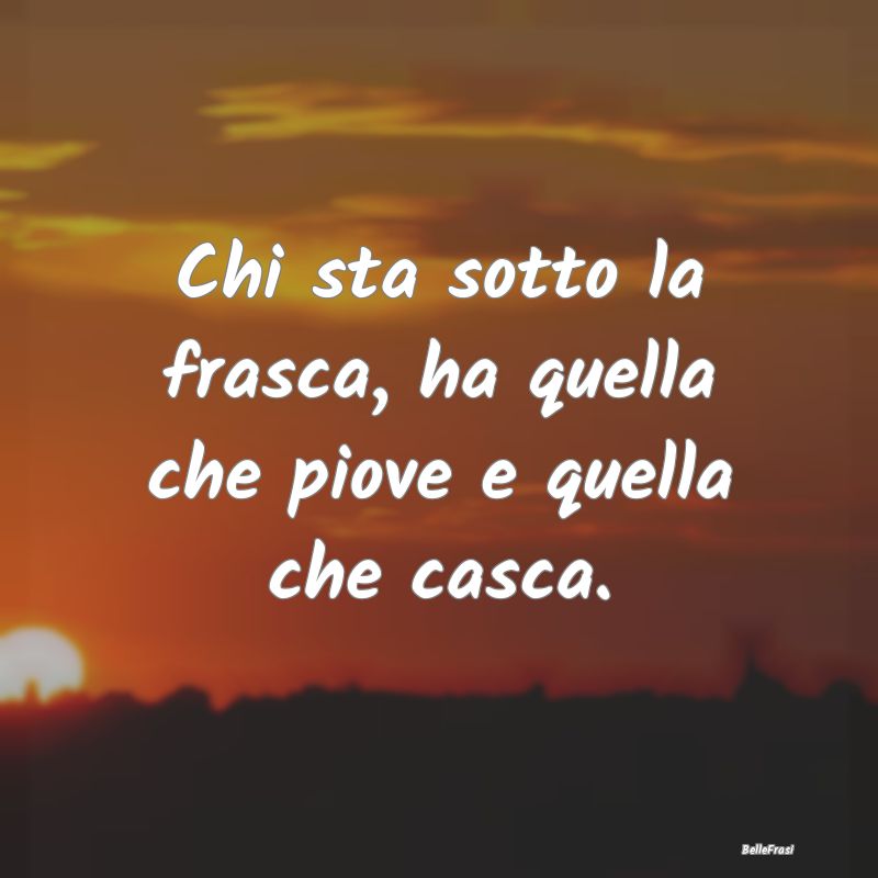 Frasi Prudenza - Chi sta sotto la frasca, ha quella che piove e que...