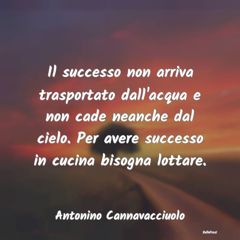 Frasi sulla Determinazione - Il successo non arriva trasportato dall'acqua e no...