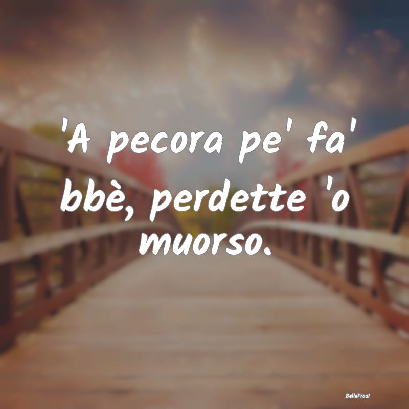 Frasi Prudenza - 'A pecora pe' fa' bbè, perdette 'o muorso....