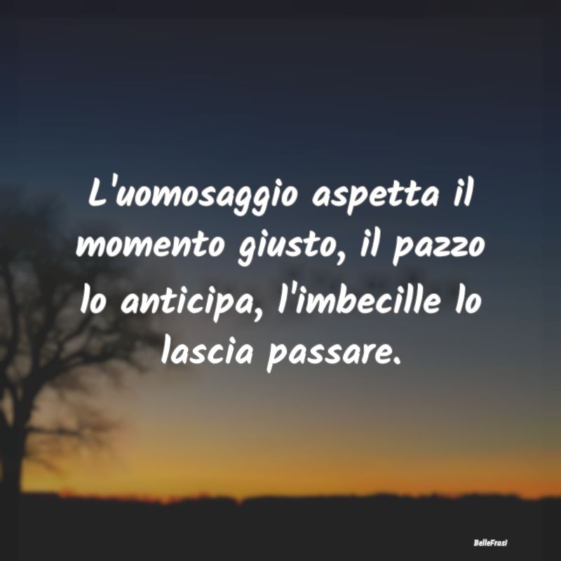 Frasi sulla Saggezza - L'uomosaggio aspetta il momento giusto, il pazzo l...