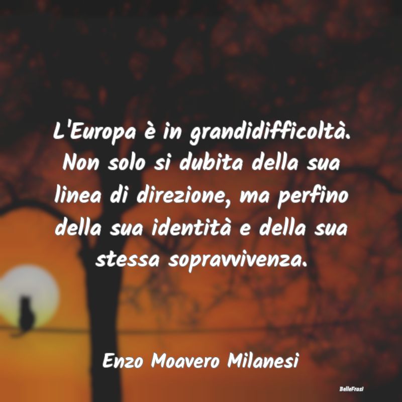 L'Europa è in grandidifficoltà. Non solo si dubi...