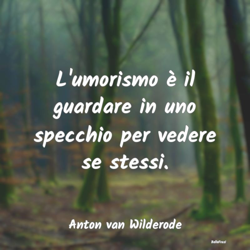 Frasi sull'Umorismo - L'umorismo è il guardare in uno specchio per vede...