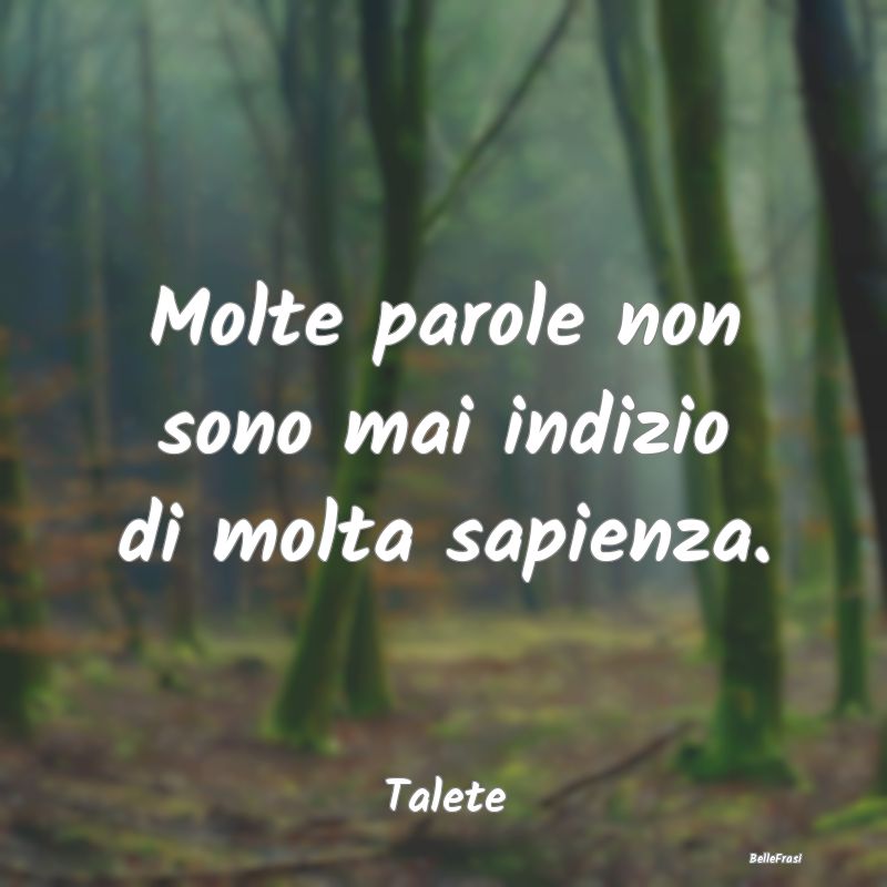 Frasi sulla Stupidità - Molte parole non sono mai indizio di molta sapienz...