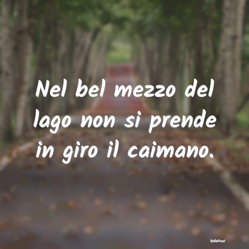 Proverbi Africani - Nel bel mezzo del lago non si prende in giro il ca...