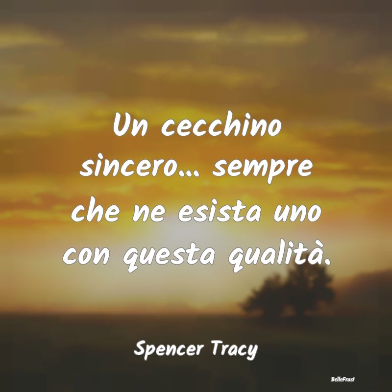 Frasi sul Cinismo - Un cecchino sincero... sempre che ne esista uno co...