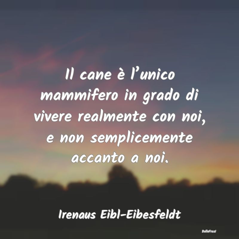 Frasi sui cani - Il cane è l’unico mammifero in grado di vivere ...