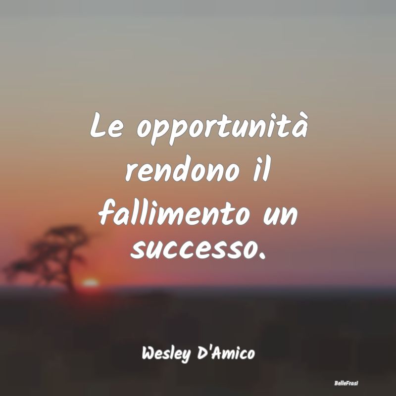 Le opportunità rendono il fallimento un successo....