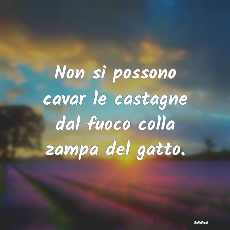 Frasi Prudenza - Non si possono cavar le castagne dal fuoco colla z...