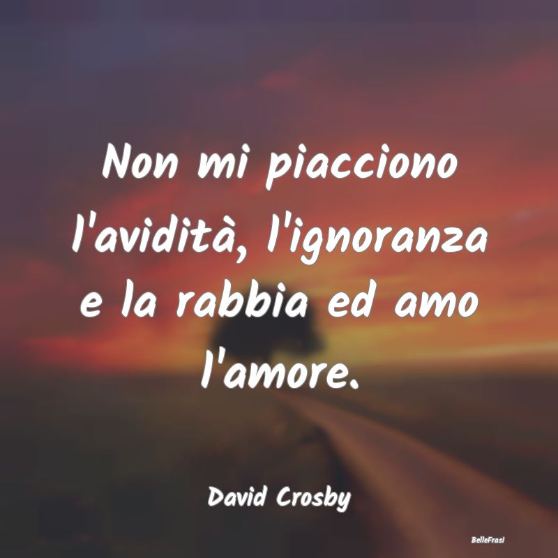 Frasi sulla Rabbia - Non mi piacciono l'avidità, l'ignoranza e la rabb...