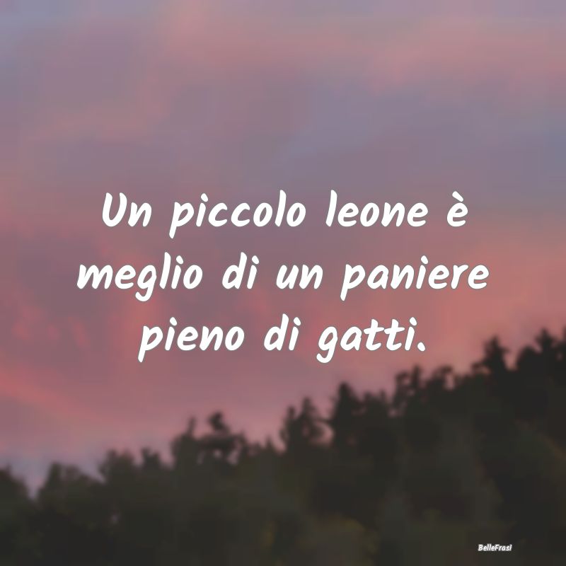 Proverbi Africani - Un piccolo leone è meglio di un paniere pieno di ...