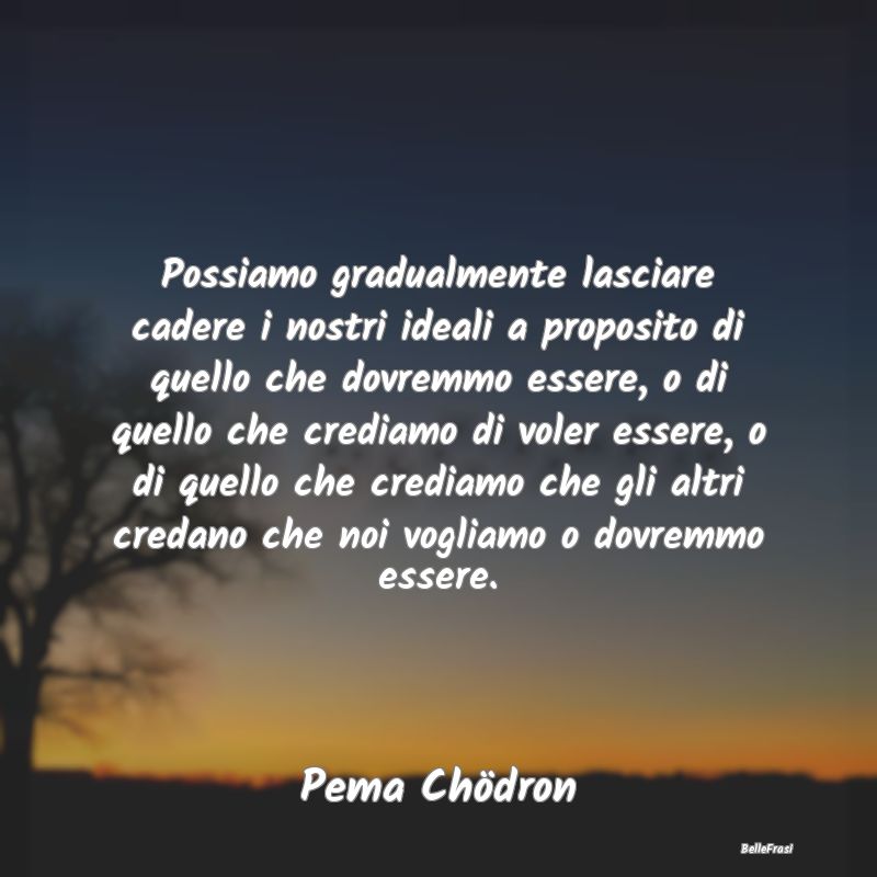 Frasi Apparenza - Possiamo gradualmente lasciare cadere i nostri ide...