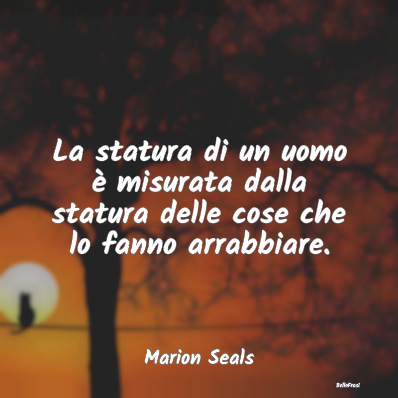 Frasi sulla Rabbia - La statura di un uomo è misurata dalla statura de...