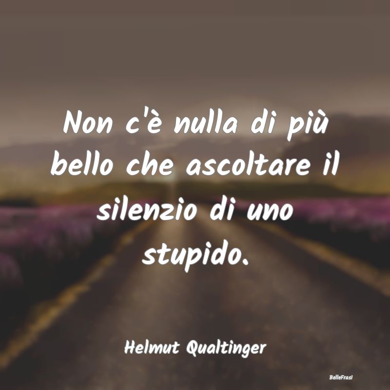 Frasi sulla Stupidità - Non c'è nulla di più bello che ascoltare il sile...