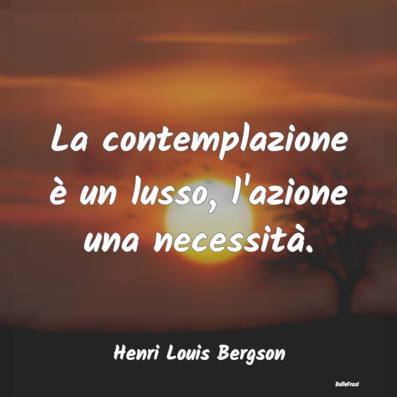 Frasi sulla Contemplazione - La contemplazione è un lusso, l'azione una necess...