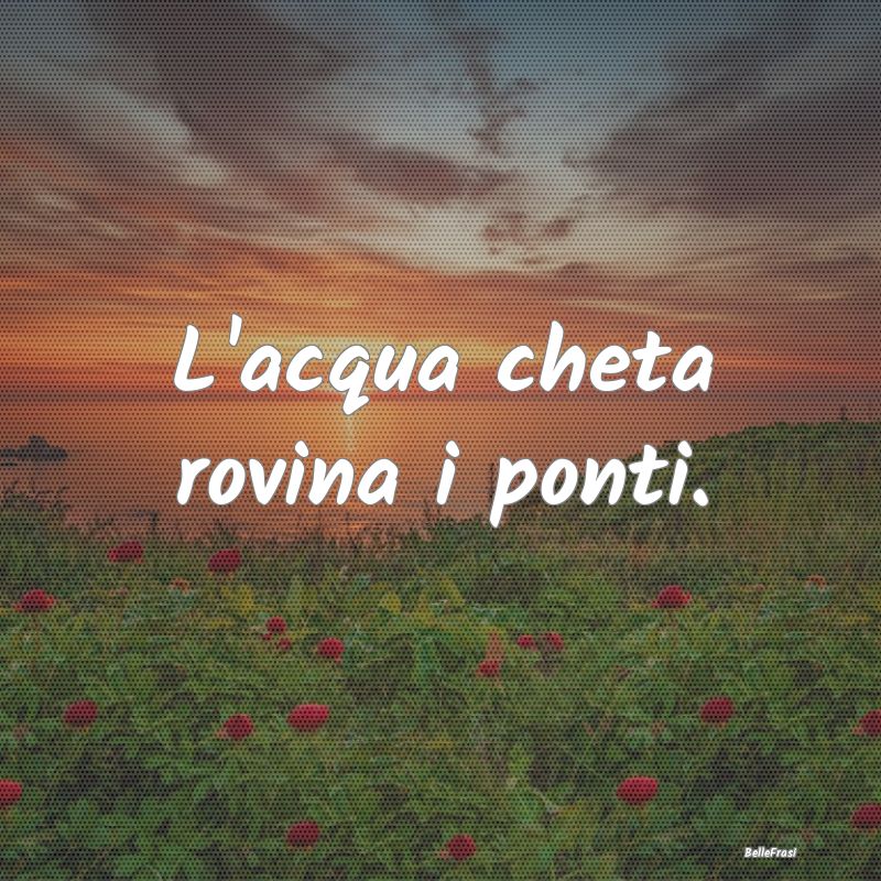 Frasi Apparenza - L'acqua cheta rovina i ponti....