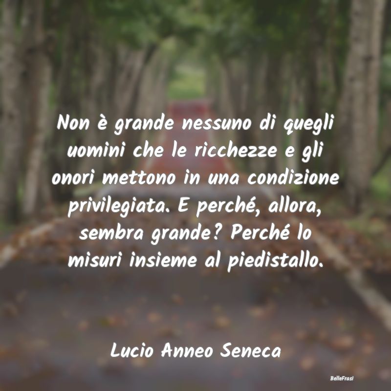 Frasi Apparenza - Non è grande nessuno di quegli uomini che le ricc...