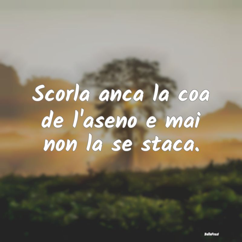 Frasi Apparenza - Scorla anca la coa de l'aseno e mai non la se stac...