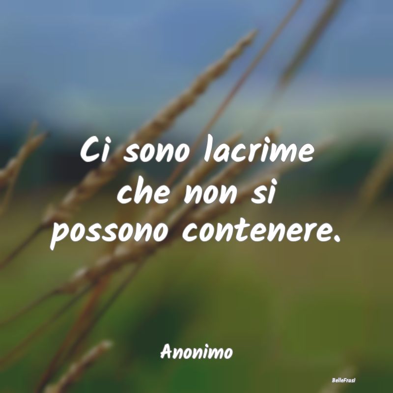 Frasi Abitudine - Ci sono lacrime che non si possono contenere....