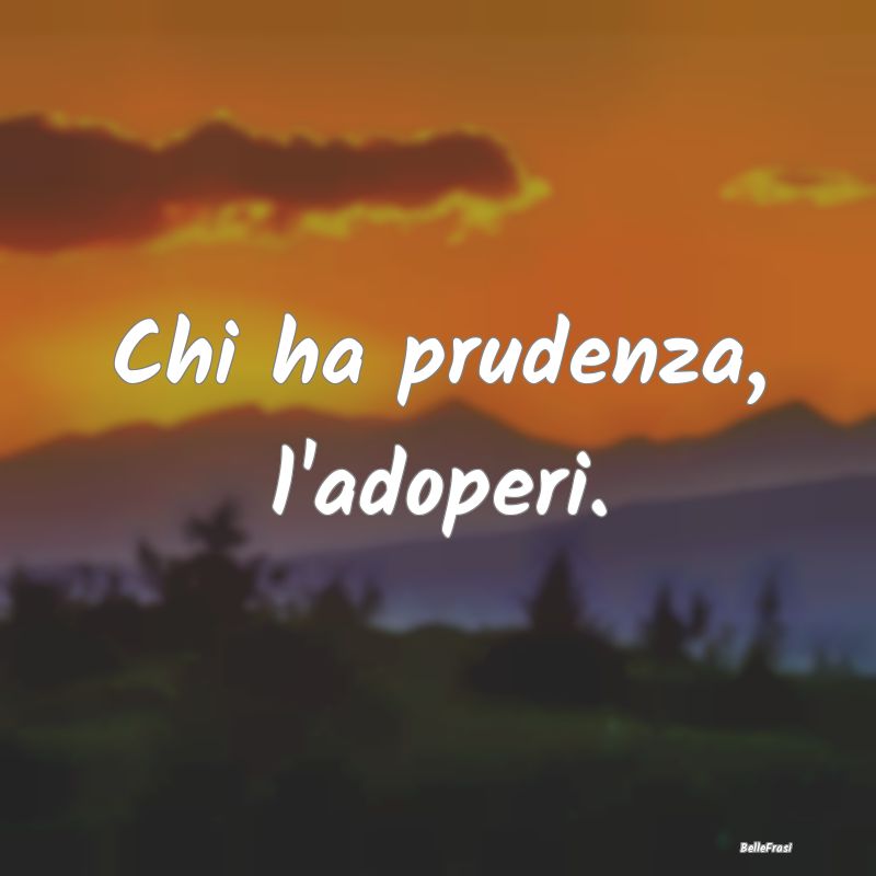 Frasi Prudenza - Chi ha prudenza, l'adoperi....