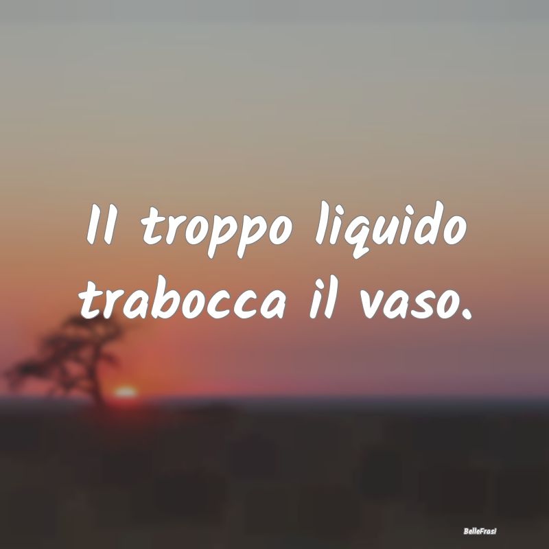 II troppo liquido trabocca il vaso....