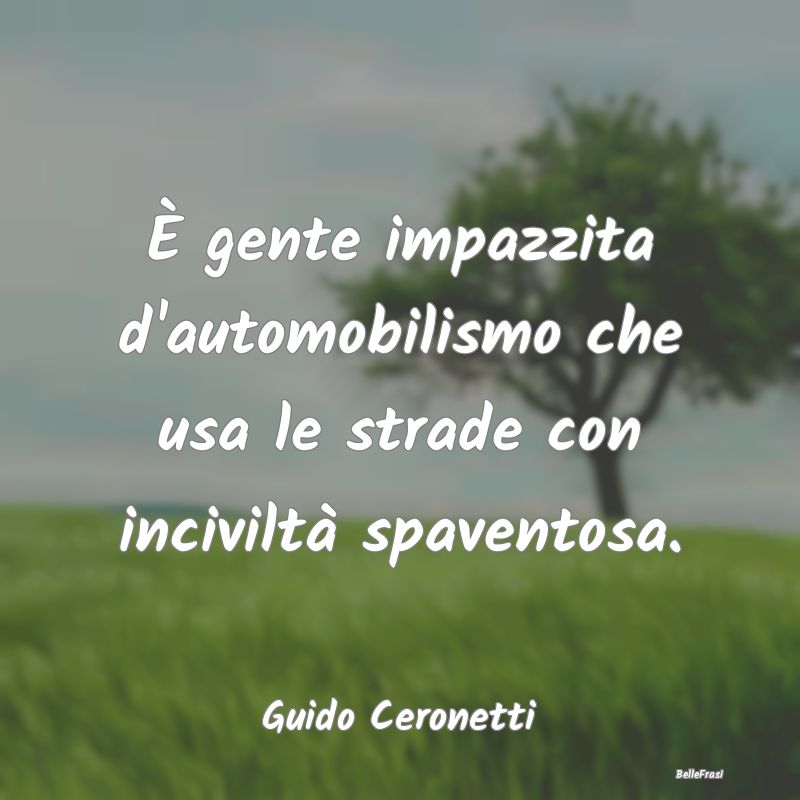 Frasi Automobilismo - È gente impazzita d'automobilismo che usa le stra...