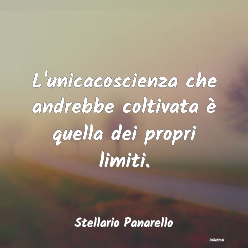 Frasi Coscienza - L'unicacoscienza che andrebbe coltivata è quella ...